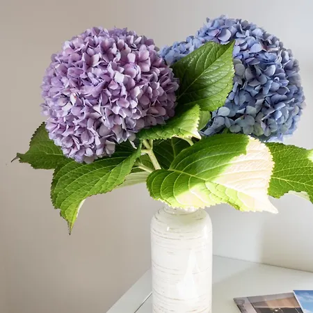 Salitre - El Silencio Apartman